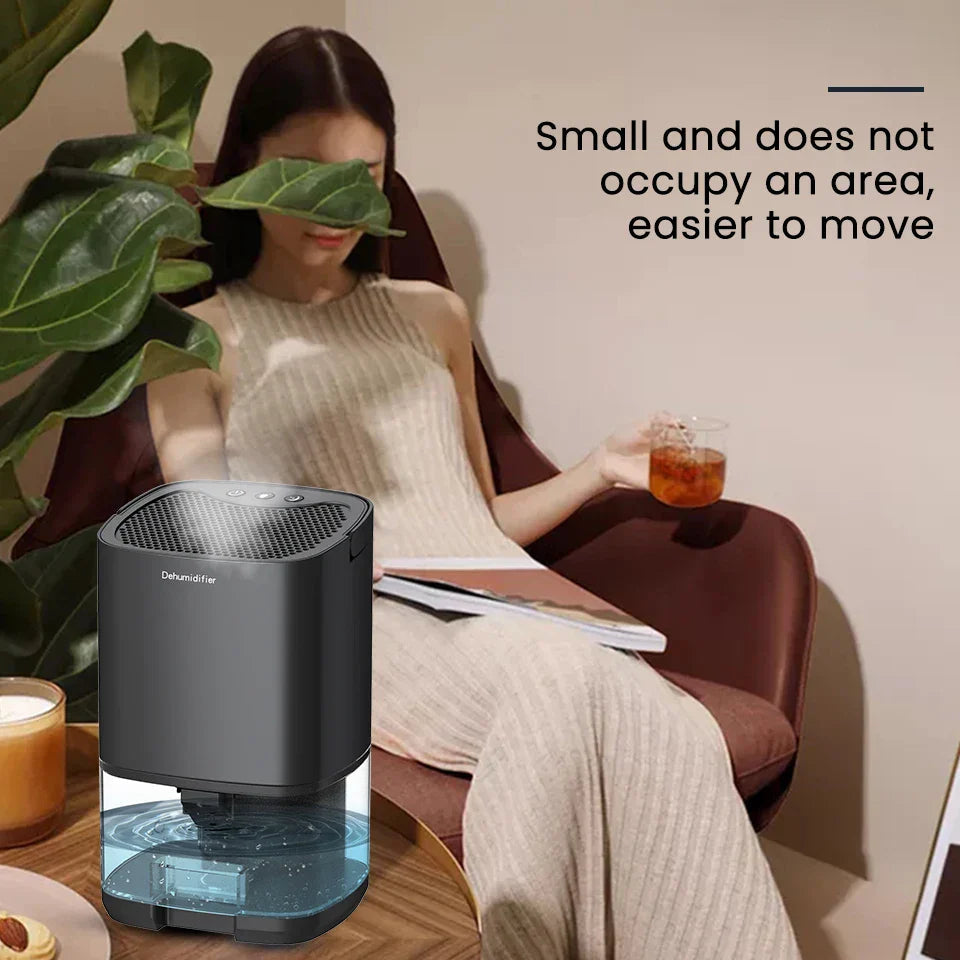 Portable Dehumidifier & Air Purifier | 1000ml Tank | Anion Filter | Night Light | ≤45dB