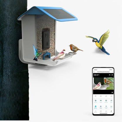 Smart Bird Feeder | 1080P HD Camera | AI Bird Recognition | Solar Powered | WiFi