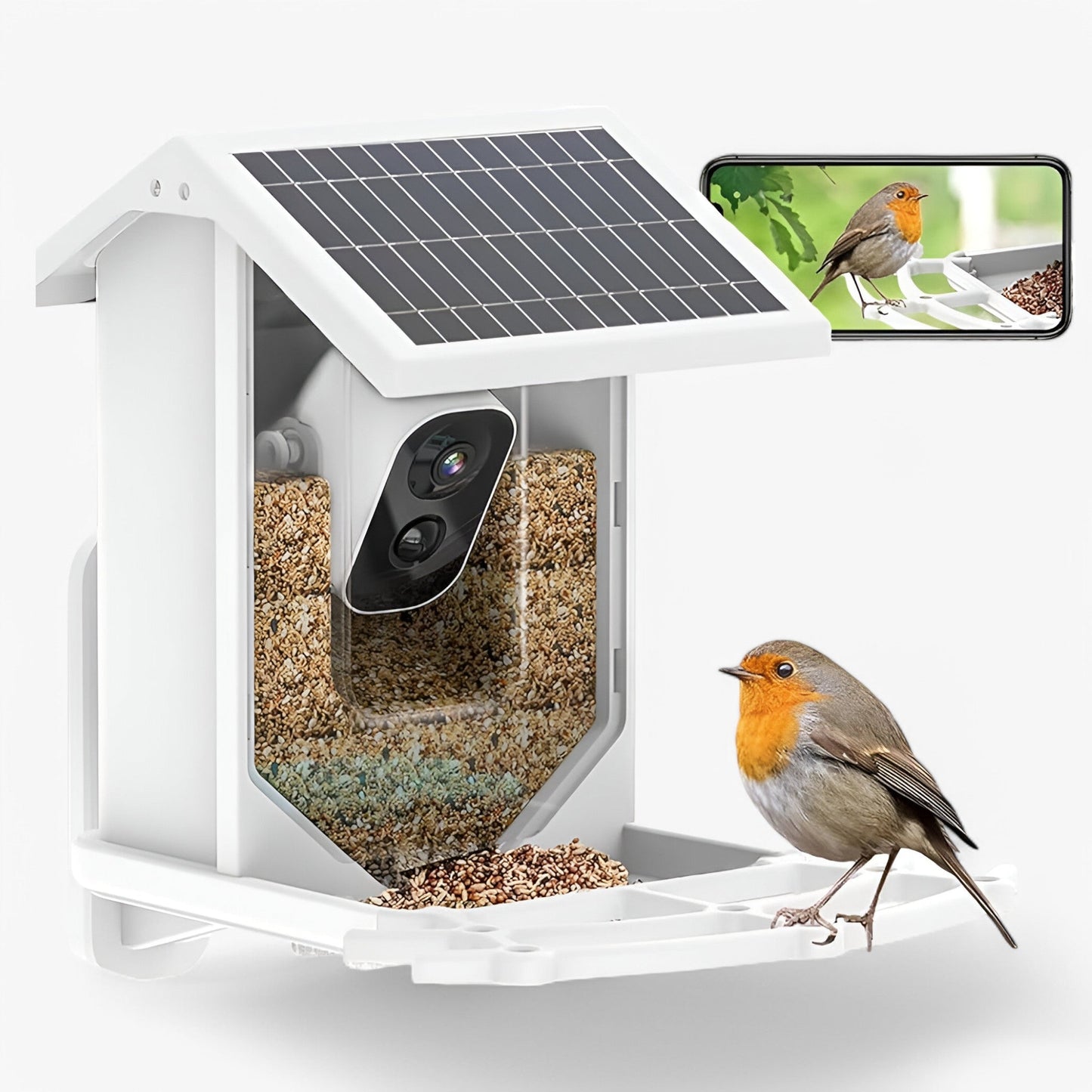 Smart Bird Feeder | 1080P HD Camera | AI Bird Recognition | Solar Powered | WiFi