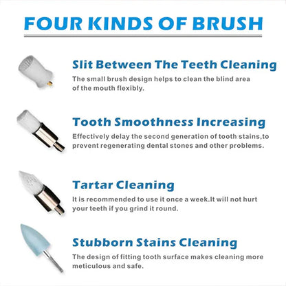 Tooth Plaque Remover | Stainless Steel Dental Tool | Everyday Oral Care