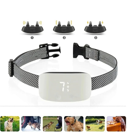 Anti-Bark Dog Collar | Nylon | IP67 Waterproof | USB Rechargeable | Adjustable for All Breeds
