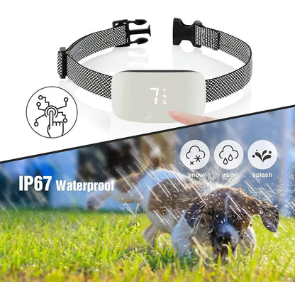 Anti-Bark Dog Collar | Nylon | IP67 Waterproof | USB Rechargeable | Adjustable for All Breeds