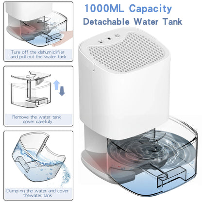 Portable Dehumidifier & Air Purifier | 1000ml Tank | Anion Filter | Night Light | ≤45dB