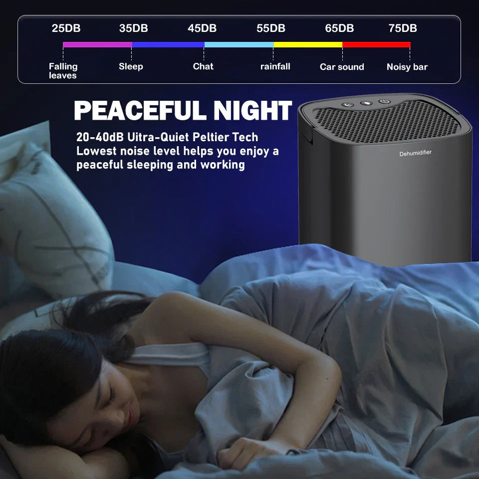 Portable Dehumidifier & Air Purifier | 1000ml Tank | Anion Filter | Night Light | ≤45dB