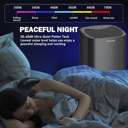 Portable Dehumidifier & Air Purifier | 1000ml Tank | Anion Filter | Night Light | ≤45dB