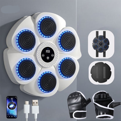 Wall-Mounted Boxing Trainer | RGB Lighting | Bluetooth | Punch Counter | USB | Black & White