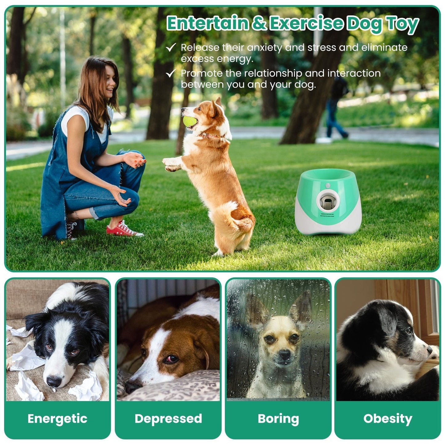 Automatic Dog Ball Launcher | 3 Distance Settings | Infrared Safety Sensor | 5H Battery | 6 Balls
