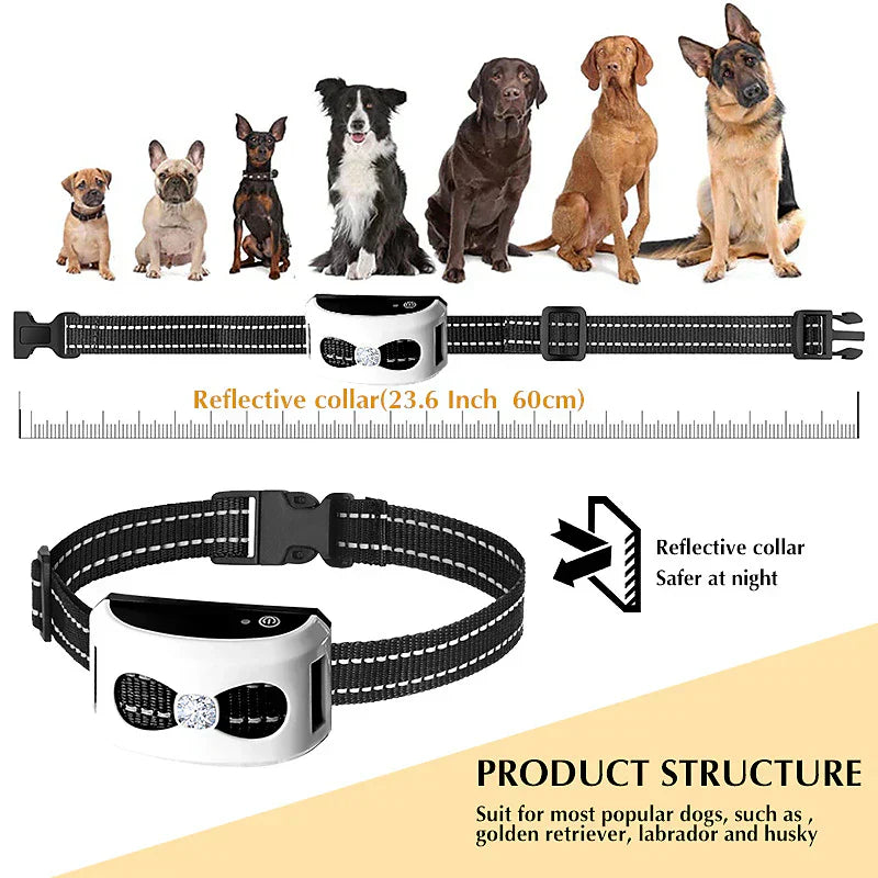 Wireless Dog Fence & Training Collar | IP65 Waterproof | 300m Range | Rechargeable | For 1 or 2 Dogs