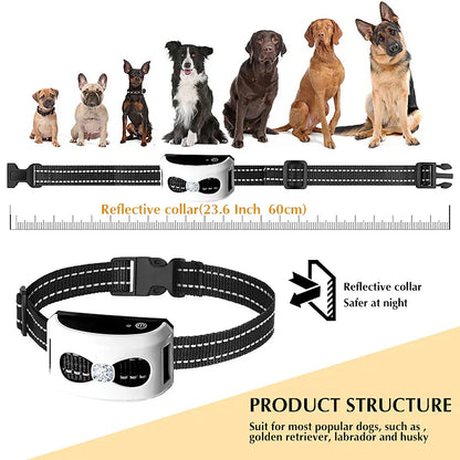 Wireless Dog Fence & Training Collar | IP65 Waterproof | 300m Range | Rechargeable | For 1 or 2 Dogs