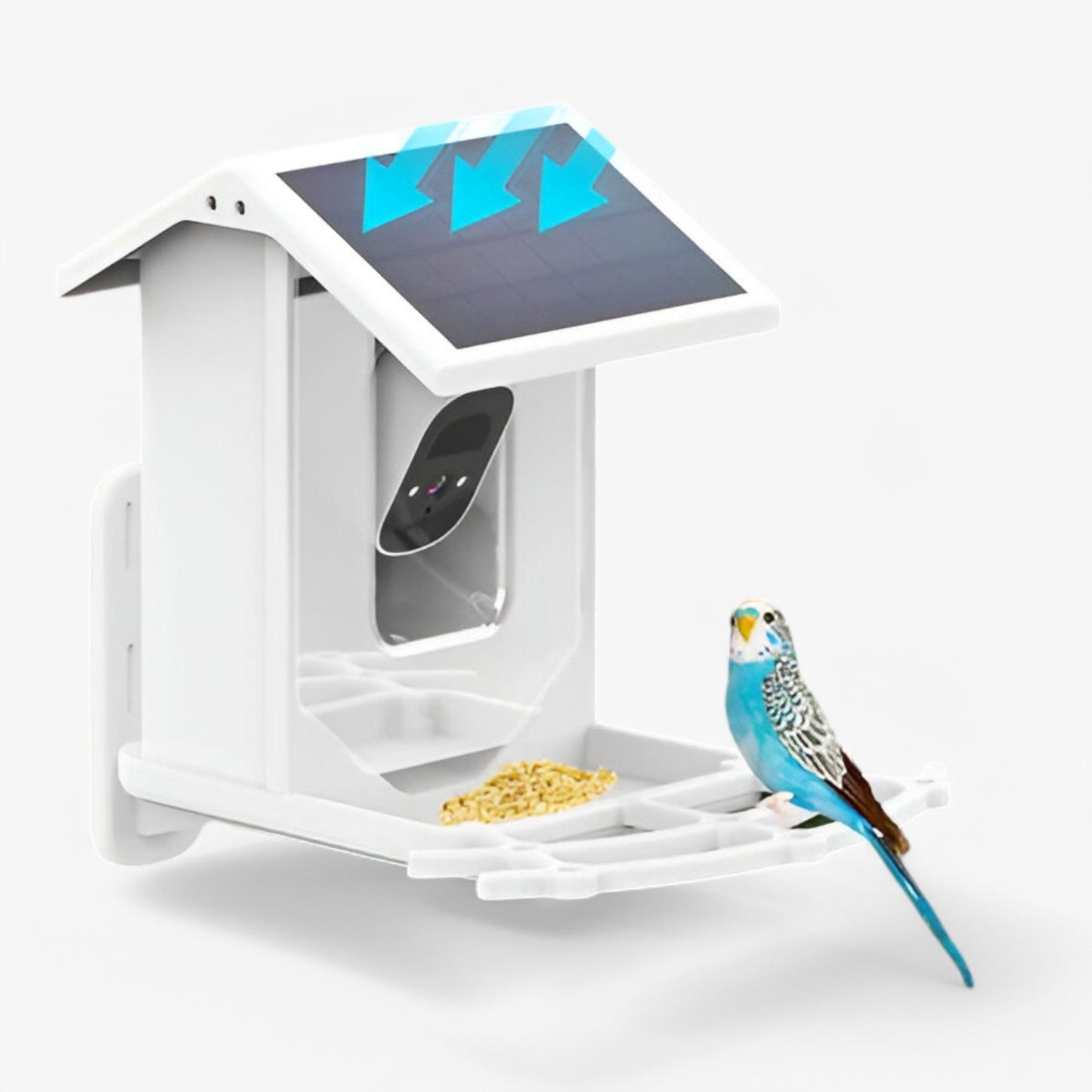 Smart Bird Feeder | 1080P HD Camera | AI Bird Recognition | Solar Powered | WiFi