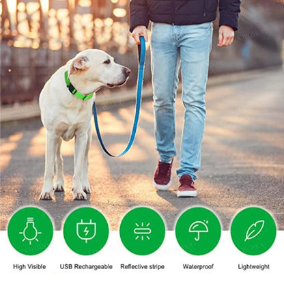 LED Pet Safety Collar | 3 Light Modes | USB Rechargeable | Night Glow | Dogs & Cats