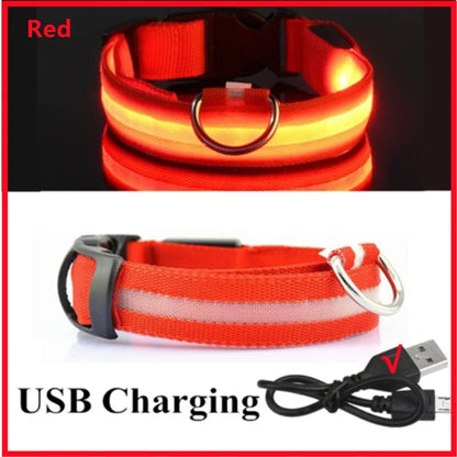 LED Pet Safety Collar | 3 Light Modes | USB Rechargeable | Night Glow | Dogs & Cats