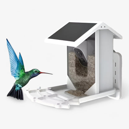 Smart Bird Feeder | 1080P HD Camera | AI Bird Recognition | Solar Powered | WiFi