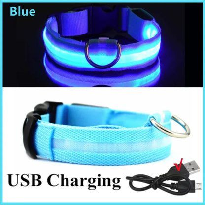 LED Pet Safety Collar | 3 Light Modes | USB Rechargeable | Night Glow | Dogs & Cats