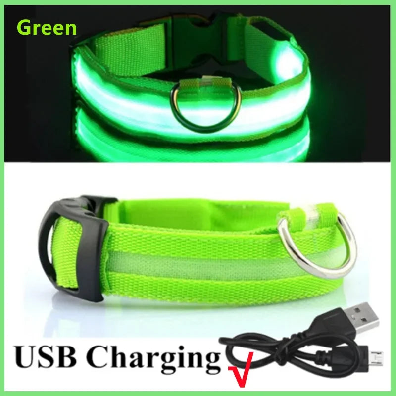 LED Pet Safety Collar | 3 Light Modes | USB Rechargeable | Night Glow | Dogs & Cats