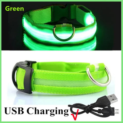 LED Pet Safety Collar | 3 Light Modes | USB Rechargeable | Night Glow | Dogs & Cats