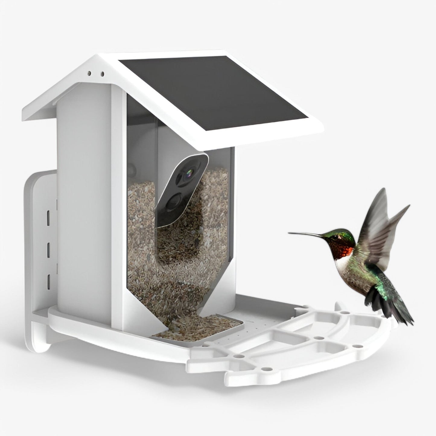 Smart Bird Feeder | 1080P HD Camera | AI Bird Recognition | Solar Powered | WiFi