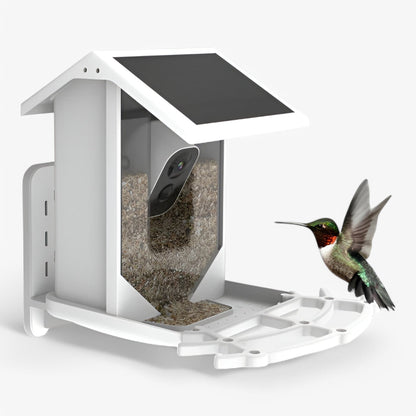 Smart Bird Feeder | 1080P HD Camera | AI Bird Recognition | Solar Powered | WiFi