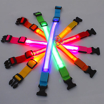 LED Pet Safety Collar | 3 Light Modes | USB Rechargeable | Night Glow | Dogs & Cats