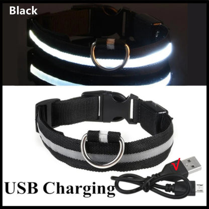 LED Pet Safety Collar | 3 Light Modes | USB Rechargeable | Night Glow | Dogs & Cats