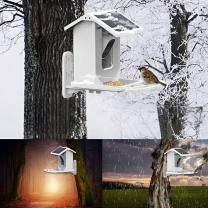 Smart Bird Feeder | 1080P HD Camera | AI Bird Recognition | Solar Powered | WiFi