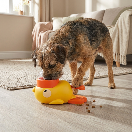 Interactive Duck Puzzle Feeder
