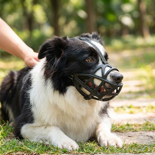 Dog Muzzle | Adjustable Strap Secure Fit | Safe Everyday Wear