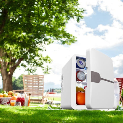Thermoelectric Mini Fridge | 6L | Cooling & Warming | 12V & 220V | 3 Colours